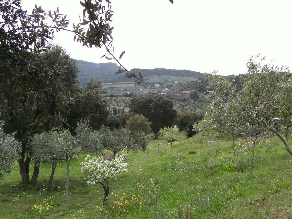 B&B Valli Verdi Alghero Kültér fotó